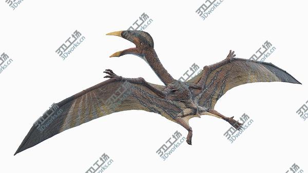 images/goods_img/20210312/Hatzegopteryx 3D model/4.jpg